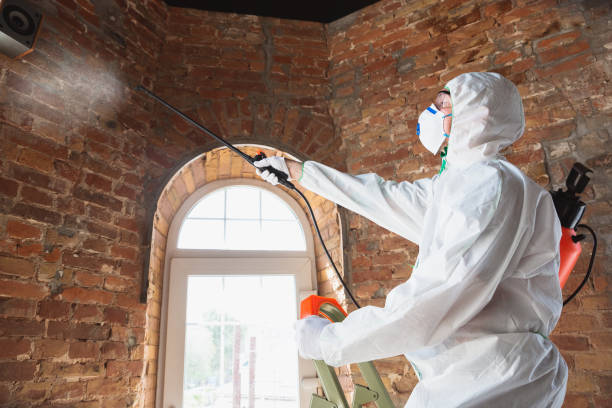 Best Environmental Consulting for Mold Prevention in Lemoore, CA