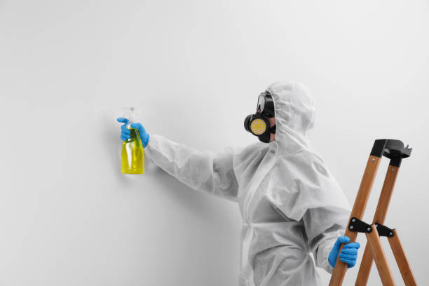 Best Forensic Mold Investigation in Lemoore, CA